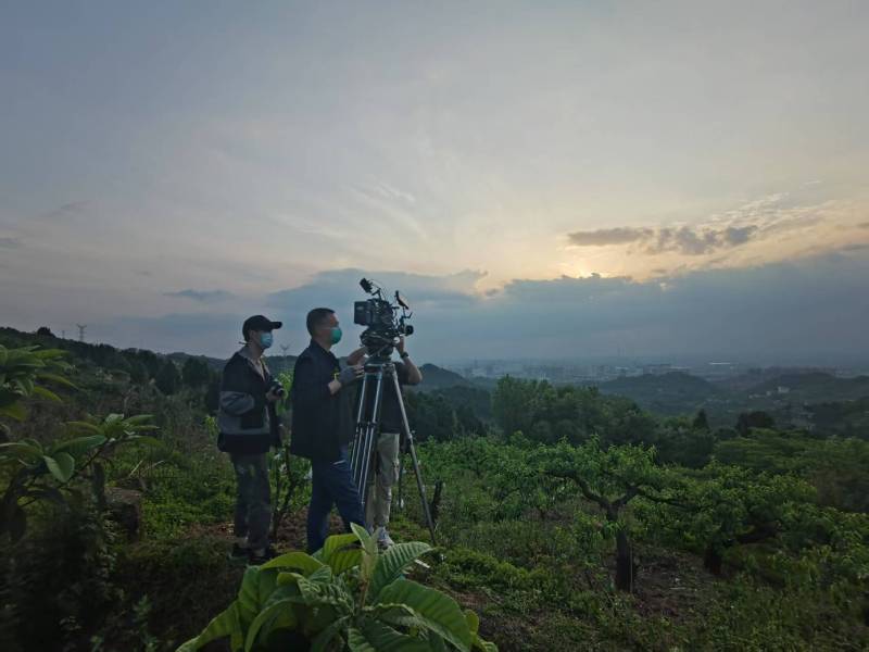创意破圈！文峰区电商产品宣传视频用故事化叙事引爆流量