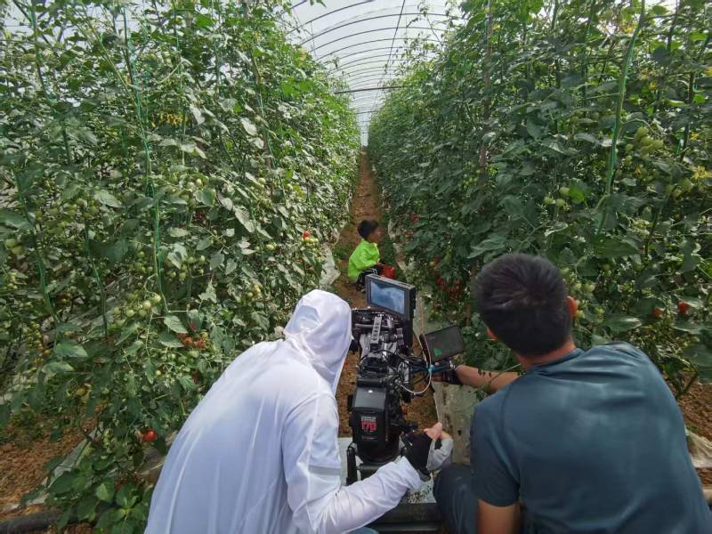 文峰区产品宣传视频拍摄公司进阶指南，助力品牌抢占传播高地